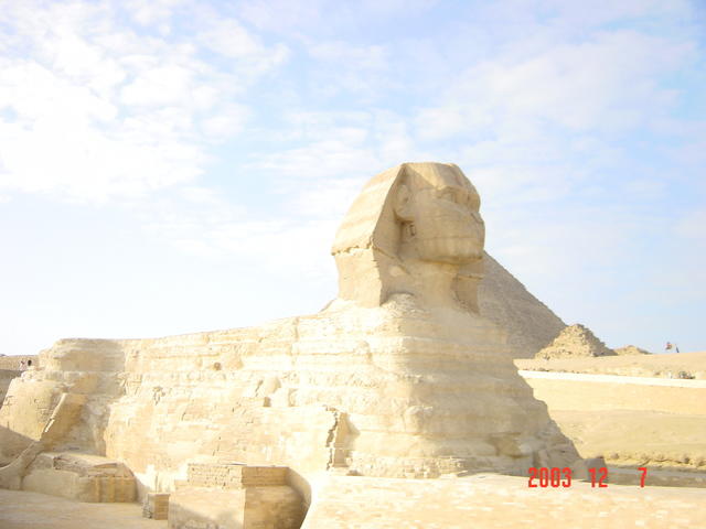 DSC03219