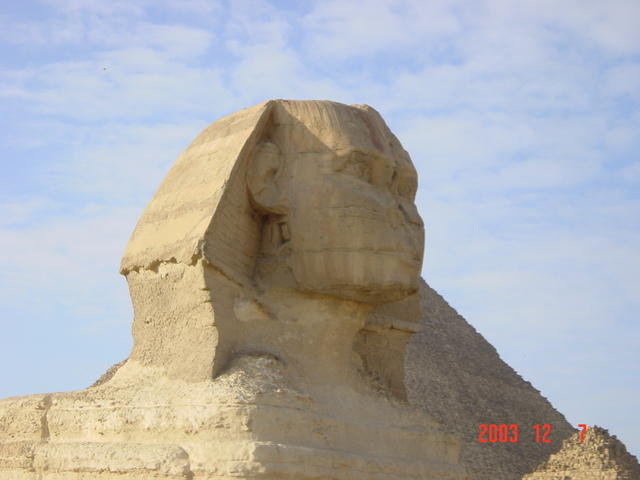 DSC03220