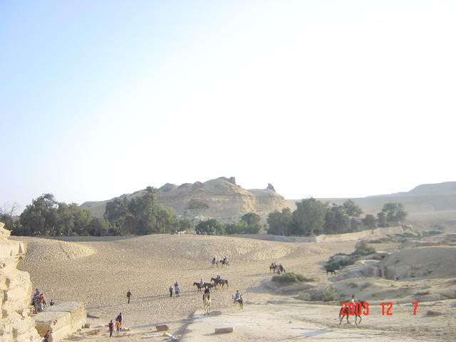 DSC03227