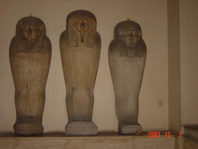 DSC03175