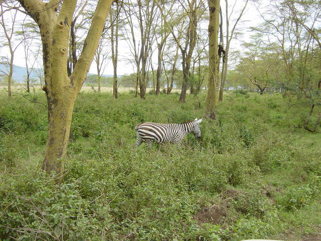 DSC03303