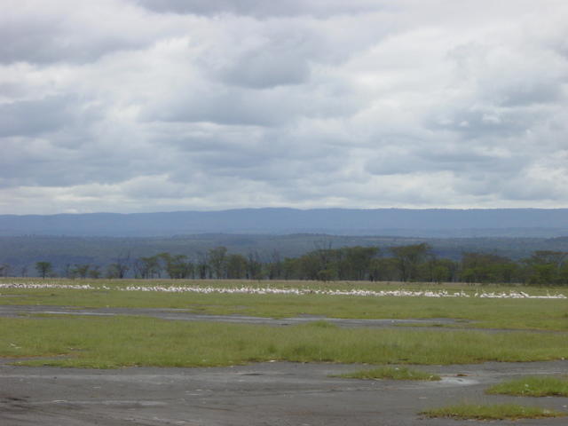 DSC03304