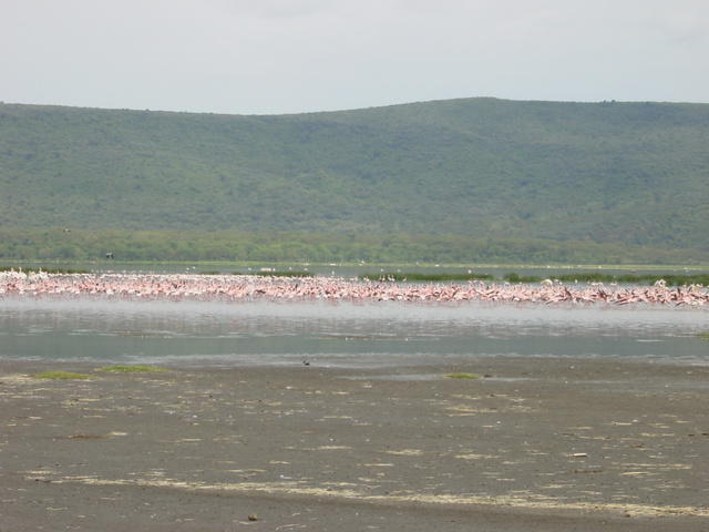 DSC03305