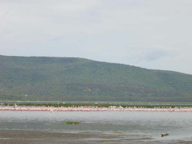 DSC03306