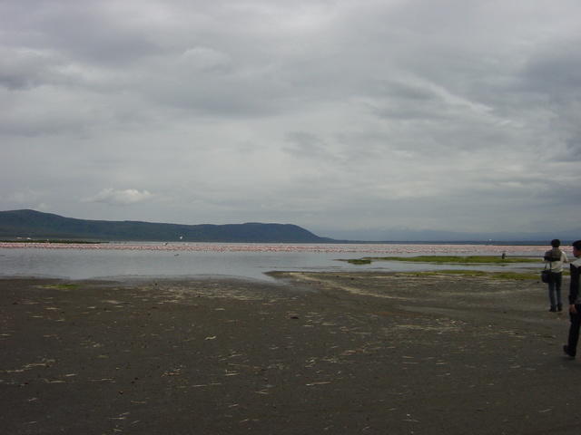 DSC03307