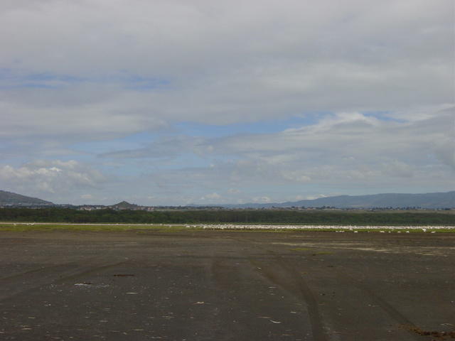 DSC03308
