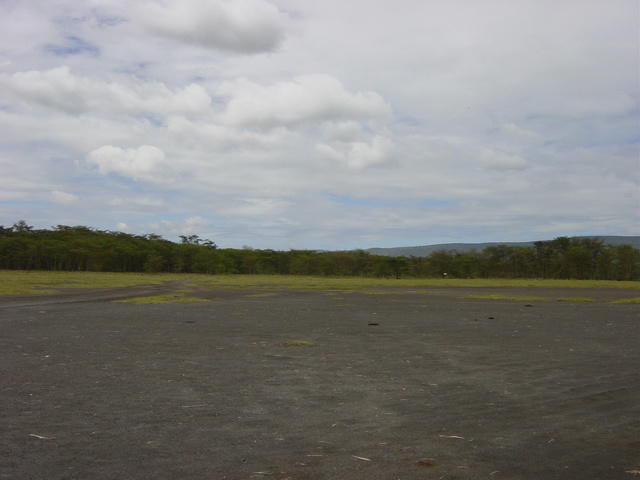 DSC03309