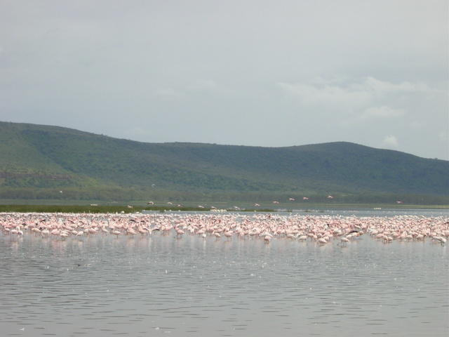 DSC03310