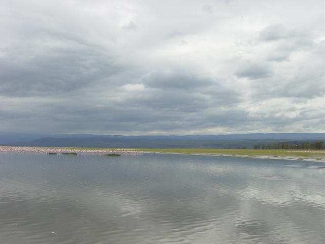 DSC03312