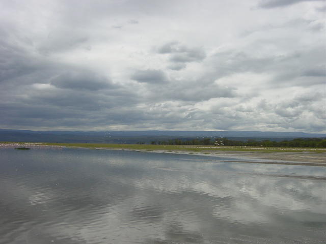 DSC03313