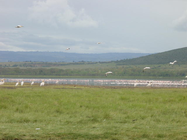 DSC03314