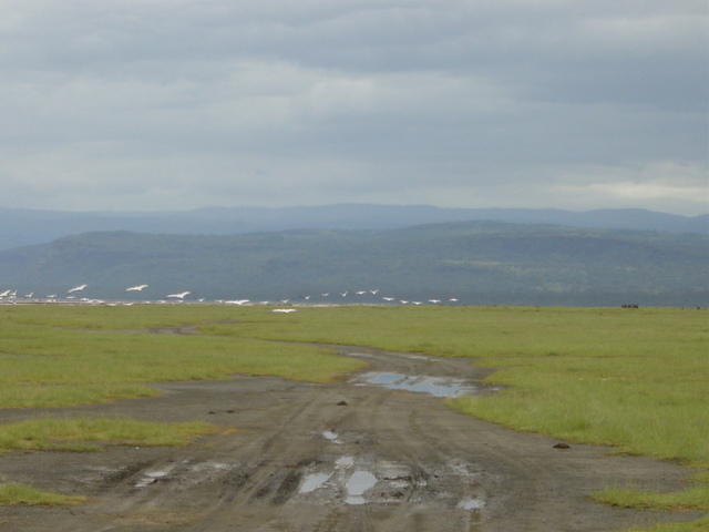 DSC03317