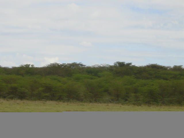 DSC03318