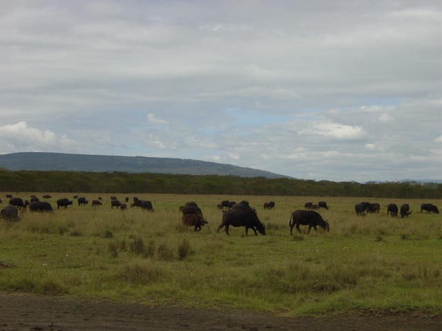 DSC03320
