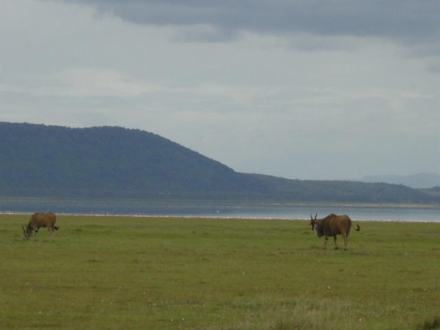 DSC03323