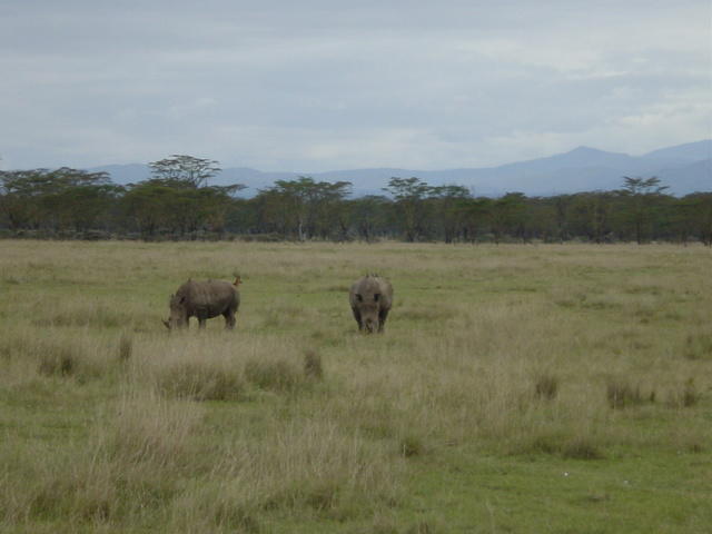 DSC03326