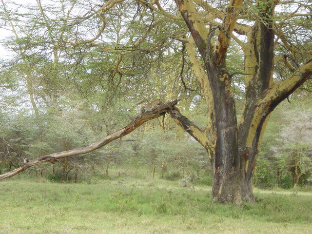 DSC03331