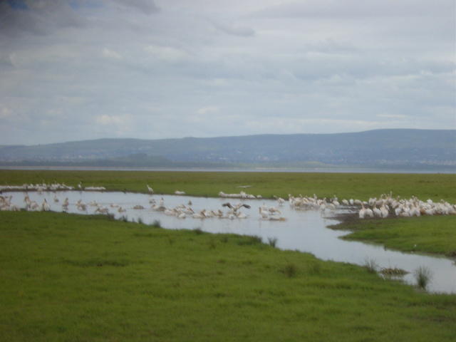 DSC03332