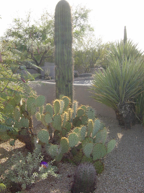 November 14,2004 (8)