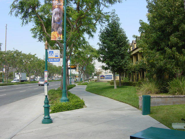 DSC06796