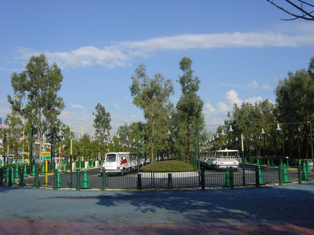 DSC06805