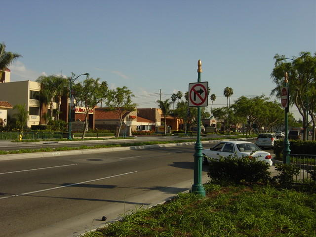 DSC06808
