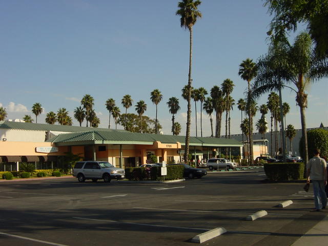 DSC06811