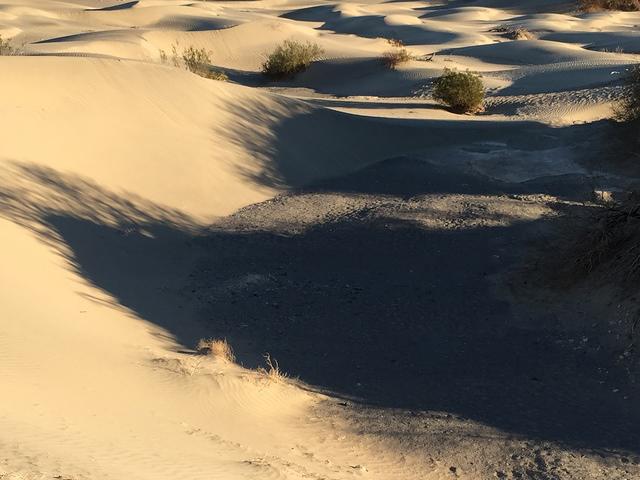 IMG 0943