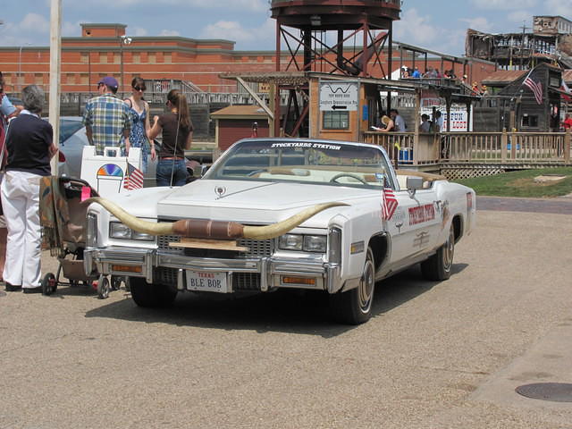 cow car