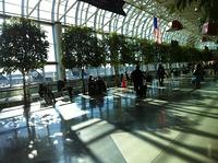 IMG 4168
