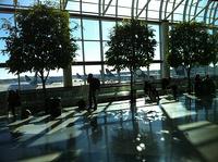 IMG 4169