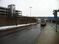 IMG 4201