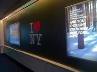 IMG 4191