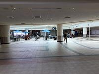 IMG 2114[1]