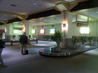 IMG 0233