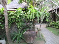 IMG 0809