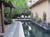 IMG 0811