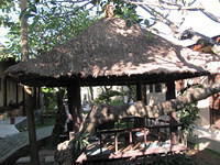IMG 0997