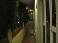IMG 0608