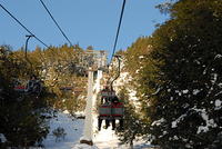 DSC 012