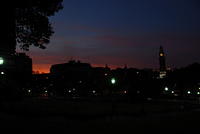 DSC 0008