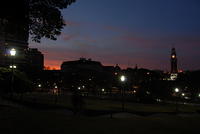 DSC 0010