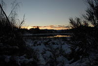 DSC0017