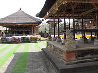 IMG 0890