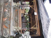 IMG 0891