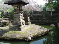 IMG 0892