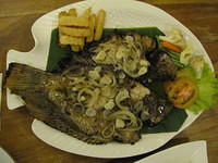 whole live fish RP80000