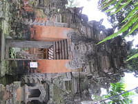 IMG 0946