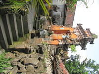IMG 0949