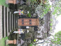 IMG 0952